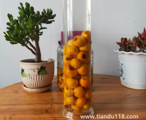 枇杷泡酒去皮好還是不去皮好3