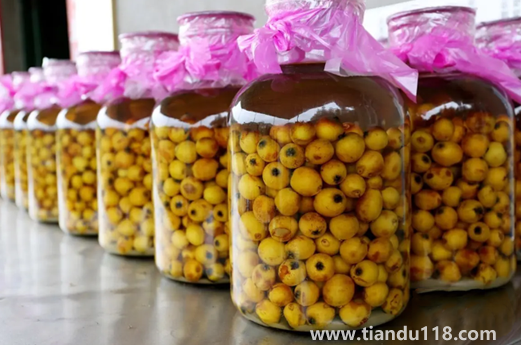 放了幾年的枇杷泡酒還能喝嗎（枇杷泡酒兩年多了還可以喝嗎）