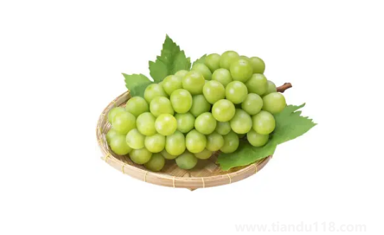 陽(yáng)光玫瑰葡萄和晴王葡萄是一個(gè)品種嗎2