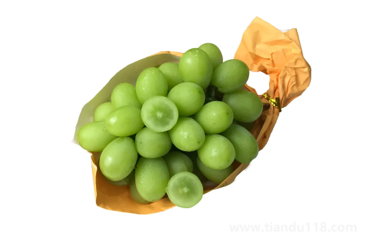 陽光玫瑰葡萄和晴王葡萄哪個價格貴2