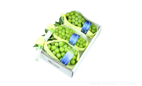 陽(yáng)光玫瑰是晴王葡萄嗎2