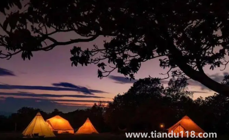 夏天去海邊露營(yíng)冷嗎2022（夏天去海邊露營(yíng)有哪些注意事項(xiàng)）