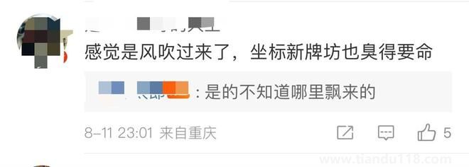 重慶市民稱多地聞到刺鼻臭味多種原因所致