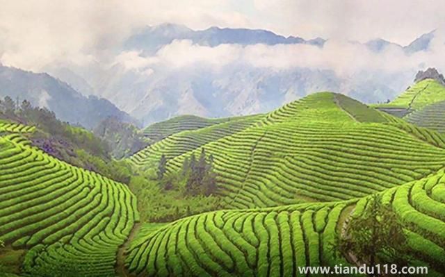 句容有哪些特產（句容特產排行榜）(圖2)