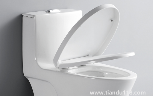 馬桶圈裂了有單賣的嗎（馬桶坐的那個圈壞了怎么辦）