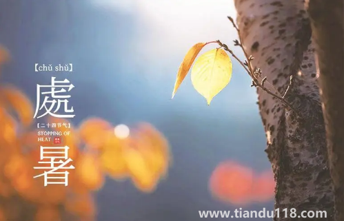 2022處暑之后天氣會涼快一些嗎（處暑吃什么食物養(yǎng)生）