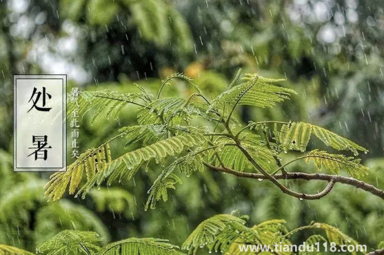 2022處暑之后天氣會(huì)涼快一些嗎2