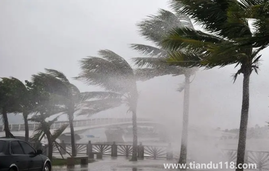 2022年為什么臺風(fēng)這么少（臺風(fēng)來了怎么辦）