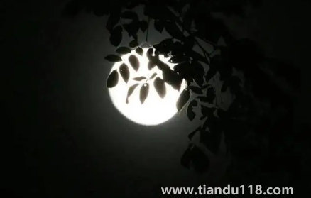 2022河南中秋節(jié)高速公路免費嗎2