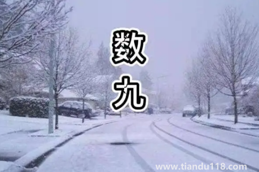 2022年一九是哪天幾月幾號星期幾（冬至是一九的開始嗎）