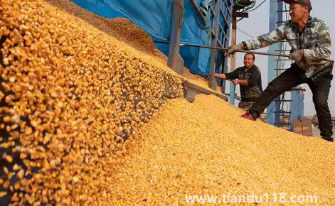 預(yù)言饑荒馬上要來了真的假的3