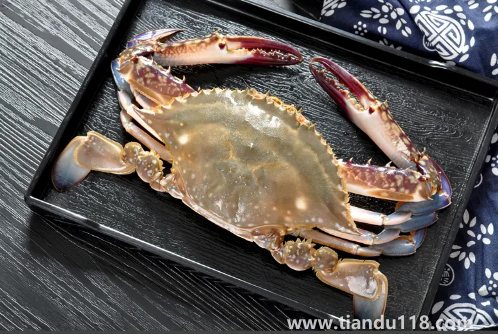 梭子蟹蒸出來(lái)為什么是空的（梭子蟹不能和什么一起吃）