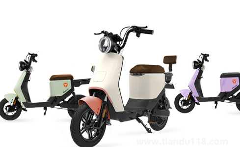 為什么小偷不偷雅迪電動(dòng)車(chē)（雅迪電瓶車(chē)被偷了沒(méi)買(mǎi)保險(xiǎn)怎么辦）