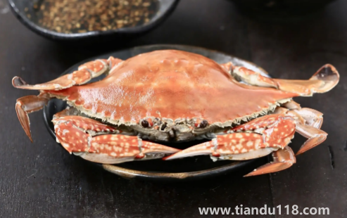 梭子蟹沒蒸熟可以接著再蒸嗎（梭子蟹怎么挑選）