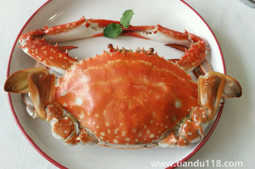 梭子蟹大的肉多還是小的肉多（梭子蟹一般多大一只）