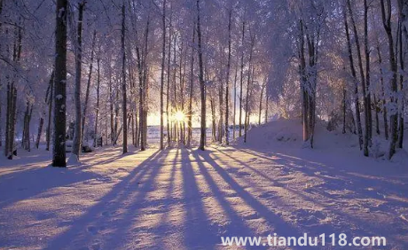 2022到2023年冬天會(huì)是暖冬嗎3