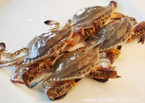 梭子蟹用高壓鍋蒸多長時(shí)間3