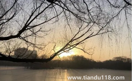 2023年兔年犯月是幾月3