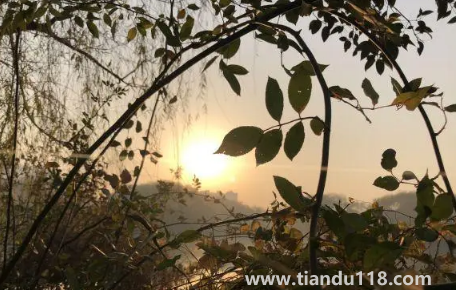 2022年重陽節(jié)天氣冷嗎3