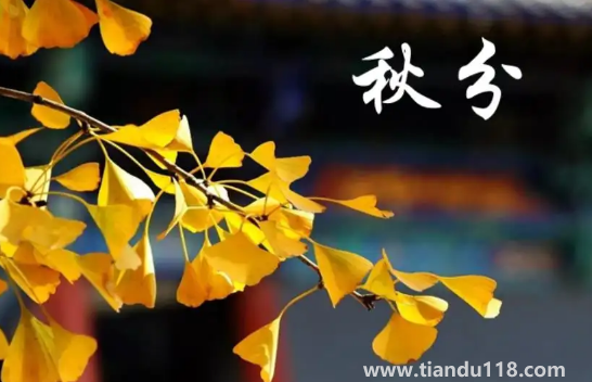 2022年秋分是農(nóng)歷幾月幾號(hào)幾點(diǎn)幾分幾秒2