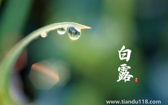 2022年白露在什么時(shí)間幾點(diǎn)幾分幾秒鐘1