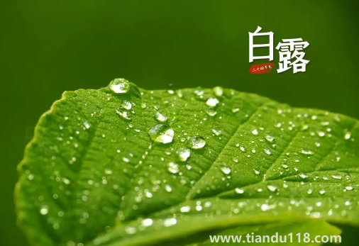 2022年白露在什么時(shí)間幾點(diǎn)幾分幾秒鐘2