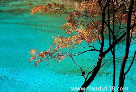 九寨溝今年國(guó)慶節(jié)開(kāi)放嗎20223