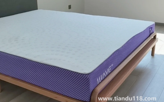 藍盒子和菠蘿斑馬哪個好3