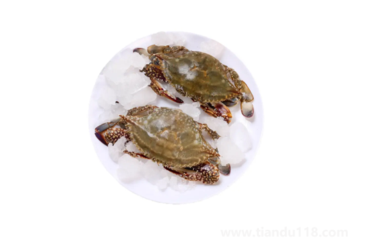 昨天買的梭子蟹今天不動了能吃嗎1