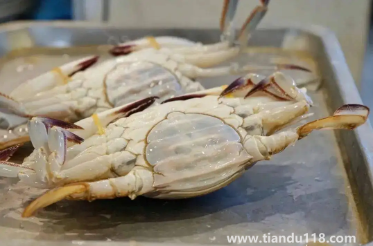 梭子蟹為什么沒有蟹黃2