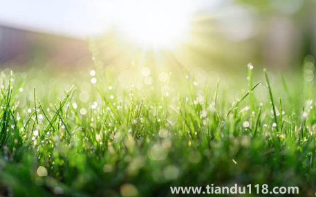 2022北京的冬天什么時(shí)候開(kāi)始冷3