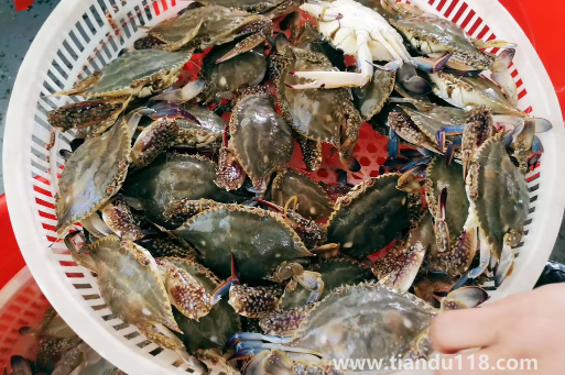 網(wǎng)上買梭子蟹是活的還是死的（梭子蟹寄過來死了能吃嗎）