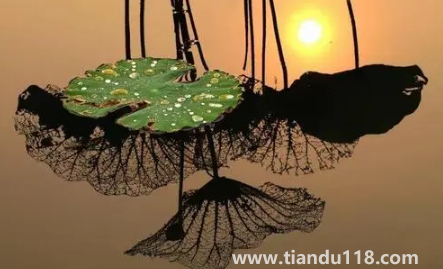 2022年寒露可以搬家嗎1