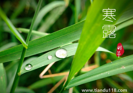 2022年寒露可以搬家嗎3