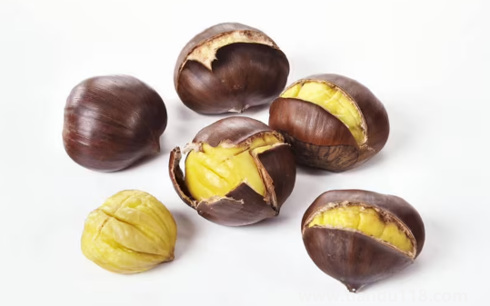 板栗成熟的季節(jié)是幾月2