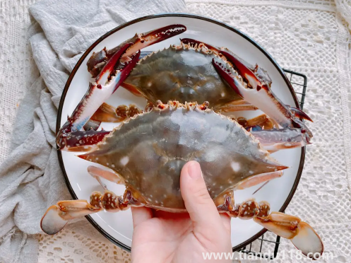 梭子蟹殺好了放冰箱明天燒可以嗎（梭子蟹哪些人不能吃）