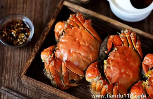 吃大閘蟹是沾醋還是醬油3