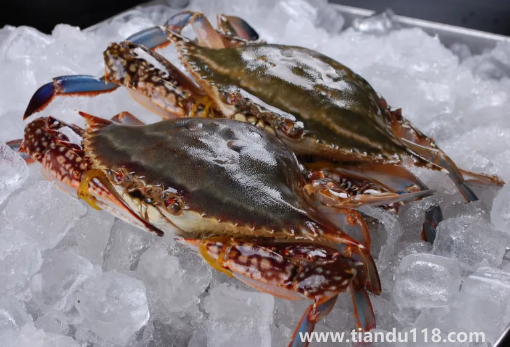 梭子蟹哪個部位最寒（螃蟹怎么吃沒那么寒）