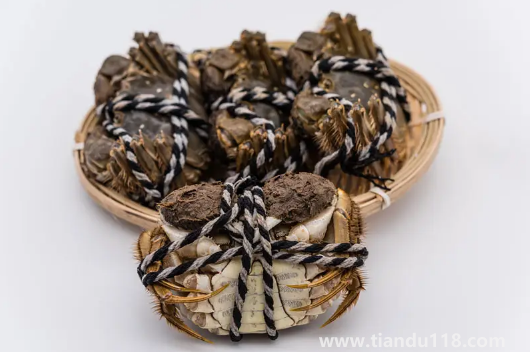 梭子蟹和大閘蟹哪個膽固醇高2