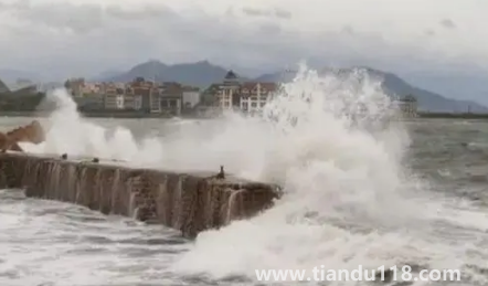 2022年臺(tái)風(fēng)梅花什么時(shí)候登錄山東1
