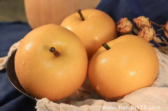 秋月梨和豐水梨哪個(gè)好吃3