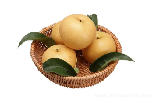 秋月梨是軟的還是脆的2