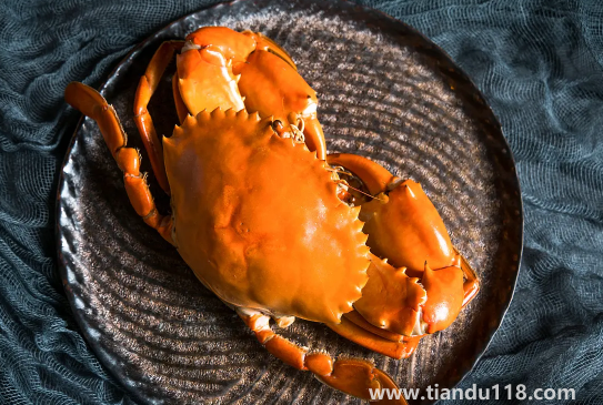 青蟹是梭子蟹的一種嗎2