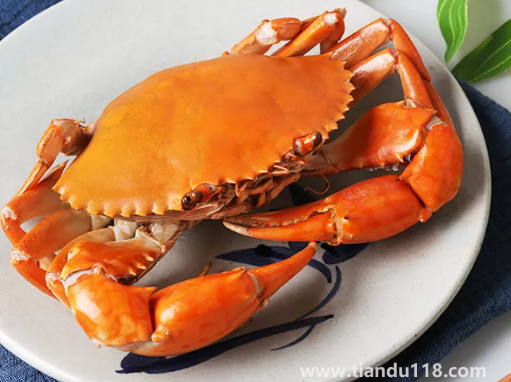 青蟹蒸之前要怎么處理2