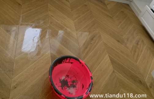 光觸媒除甲醛是不是智商稅(除甲醛簡單實惠的方法)(圖3) 光觸媒除甲醛是不是智商稅3