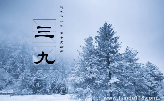 2023年三九天的起止時(shí)間(三九天要吃什么)(圖3) 2023年三九天的起止時(shí)間3