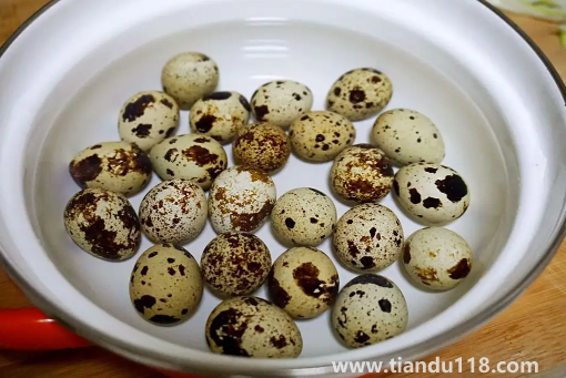 鵪鶉蛋和雞蛋哪個小孩吃了好3