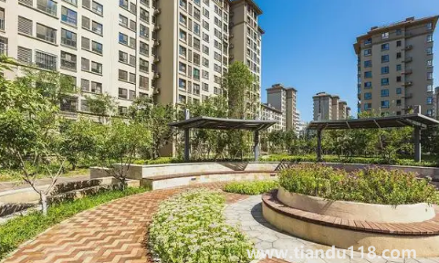 樓房最后一排是無(wú)靠山嗎(買(mǎi)房應(yīng)該怎么選位置)(圖1) 樓房最后一排是無(wú)靠山嗎1