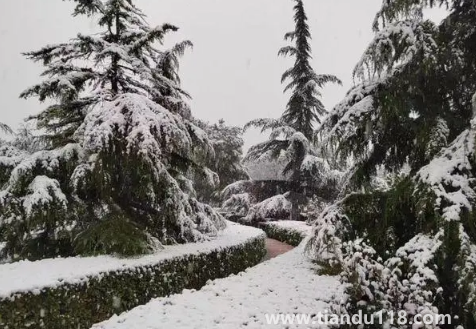 2023年哈爾濱1月份會下雪嗎(1月份去哈爾濱穿什么合適)(圖2) 2023年哈爾濱1月份會下雪嗎2