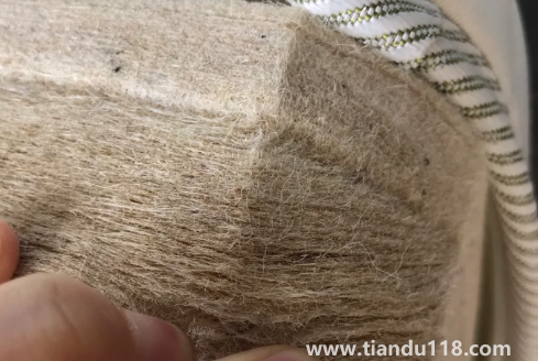 黃麻床墊可以暴曬嗎(床墊選擇注意事項(xiàng))(圖2) 黃麻床墊可以暴曬嗎2